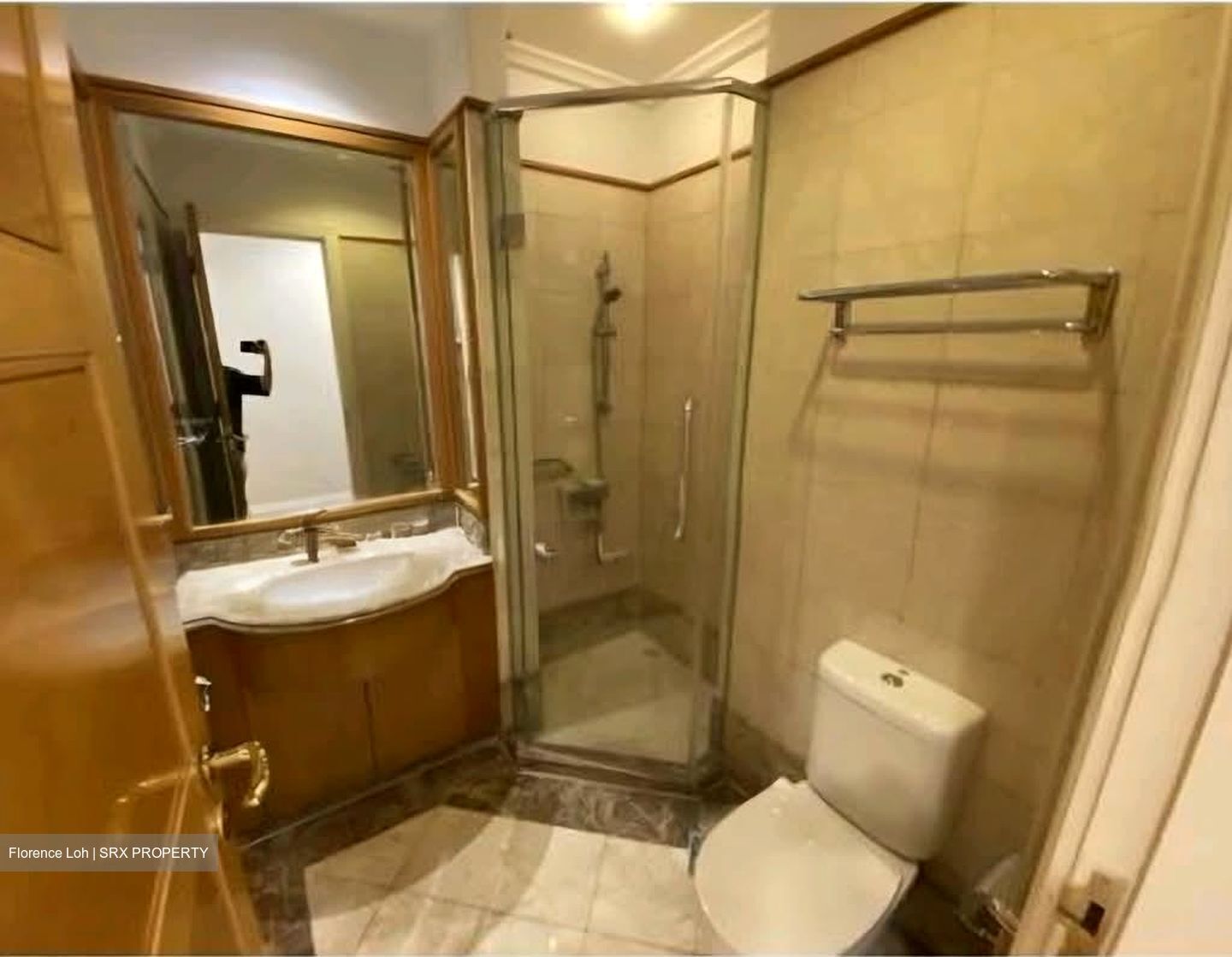Gardenville (D10), Condominium #580197591